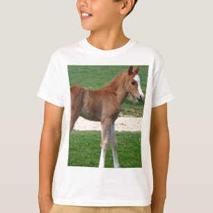 T-shirt Bébé mignon Destin Dons Cadeaux Springtime Adorabl