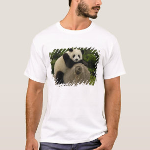 T-shirt Bébé panda géant