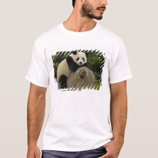 T-shirt Bébé panda géant (Devant)
