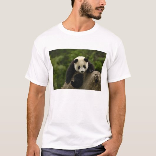 T-shirt Bébé panda géant (Devant)