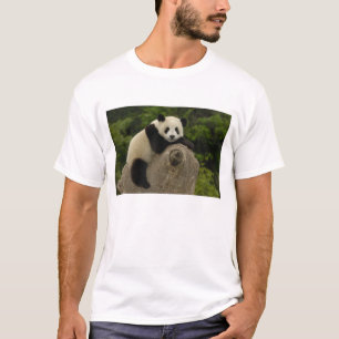 T-shirt Bébé panda géant