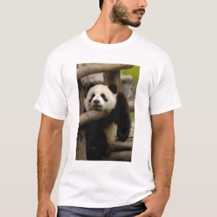 T-shirt Bébé panda géant (Ailuropoda melanoleuca)