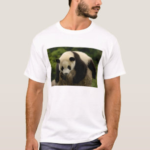 T-shirt Bébé panda géant (Ailuropoda melanoleuca)