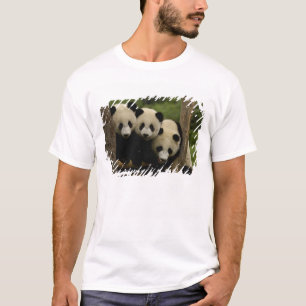 T-shirt Bébés de panda géant Ailuropoda melanoleuca)