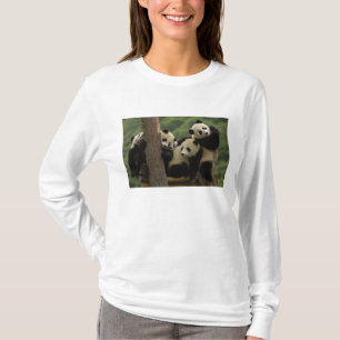 T-shirt Bébés de panda géant Ailuropoda melanoleuca)