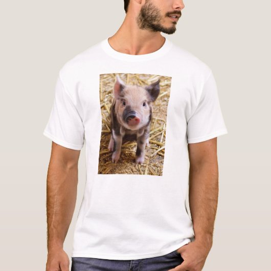 T-shirt Bébés mignons de basse-cour d'animaux de ferme de (Devant)