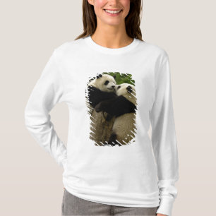 T-shirt Bébés pandas géants (Ailuropoda melanoleuca)