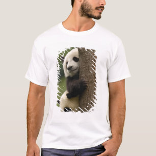 T-shirt Bébés pandas géants (Ailuropoda melanoleuca)