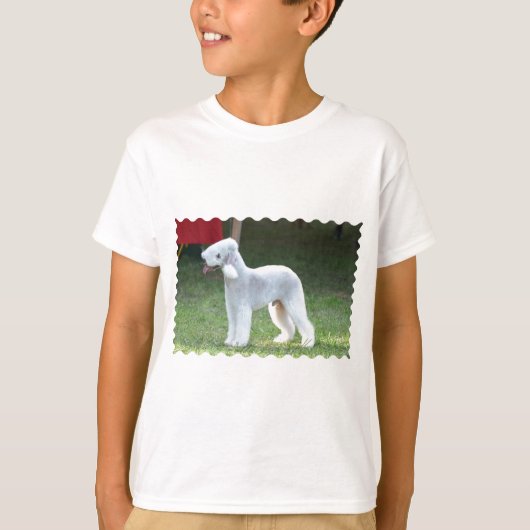 T-shirt Bedlington Terrier mignon (Devant)