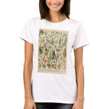 Belle Millot Fleur Illistration Imprimer