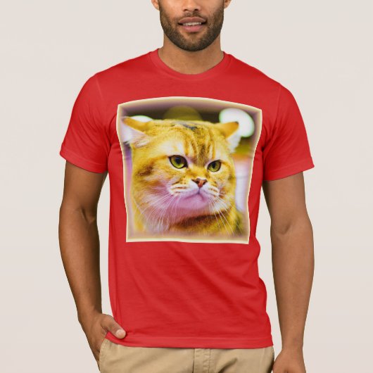 T-shirt Belle photo d'un mignon chat. Commandez dès mainte (Devant)