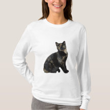 Belle Tortie Chat, Tortoiseshell, Chat, Kitten