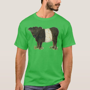 T-shirt "Beltie" Galloway ceinturé