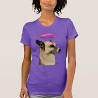 Berger Allemand Avec Halo Rose