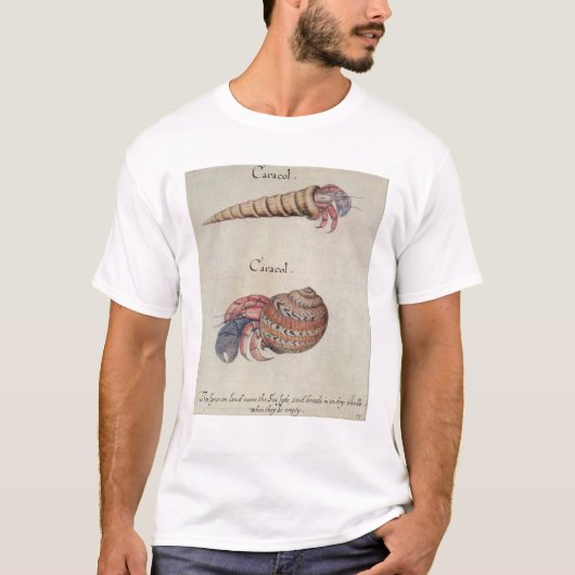 T-shirt Bernard l'ermite (Devant)