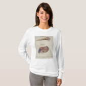 T-shirt Bernard l'ermite (Devant entier)