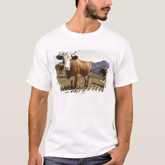 T-shirt Bétail (Devant)