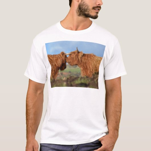T-shirt Bétail des montagnes écossais (Devant)