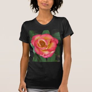 T-shirt Betty Boop 140
