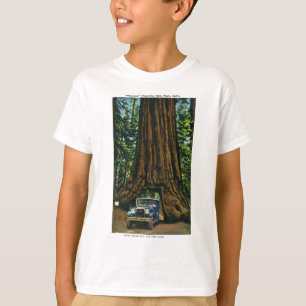 T-shirt Big Tree Wawona, Mariposa Grove, CA