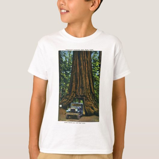T-shirt Big Tree Wawona, Mariposa Grove, CA (Devant)