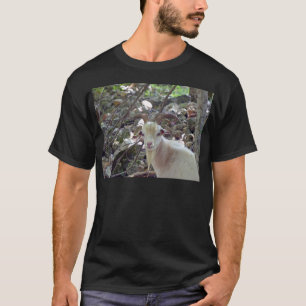 T-shirt Billy Goat