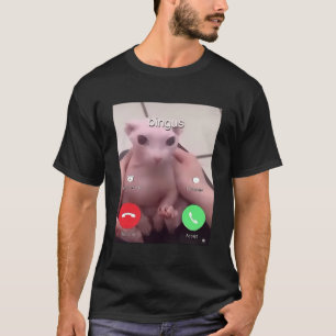 T-shirt Bingus Appelle Mon Chat Sphinx Sans Cheveux Bien-A