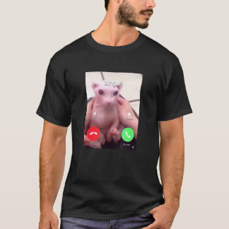 T-shirt Bingus Appelle Mon Chat Sphynx Sans Poil Bien-Aimé