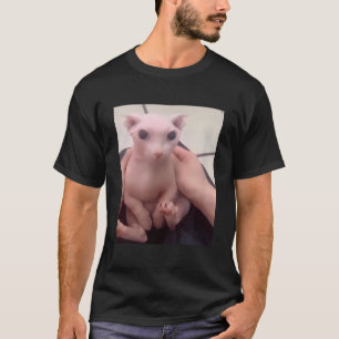 T-shirt Bingus Baud Mon Bien-Aimé Sphinx sans cheveux Chat