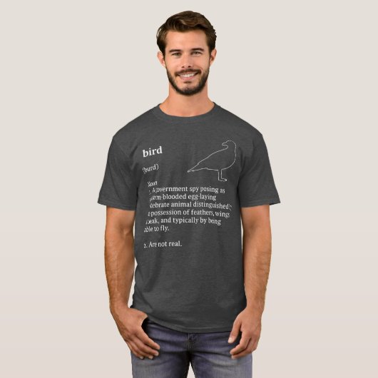 T-shirt Birds Arent Real Dictionary Minimalist (Devant entier)