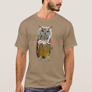 T-shirt Birds Owes Memeee vintage