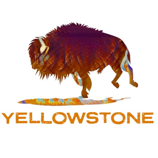 T-shirt Bison de Yellowstone
