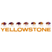 T-shirt Bison de Yellowstone coule