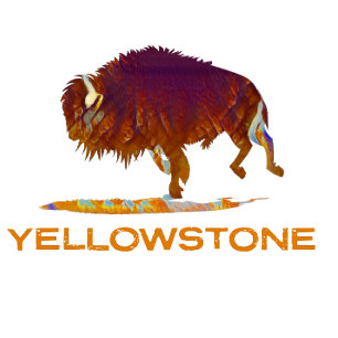 T-shirt Bison du parc national de Yellowstone