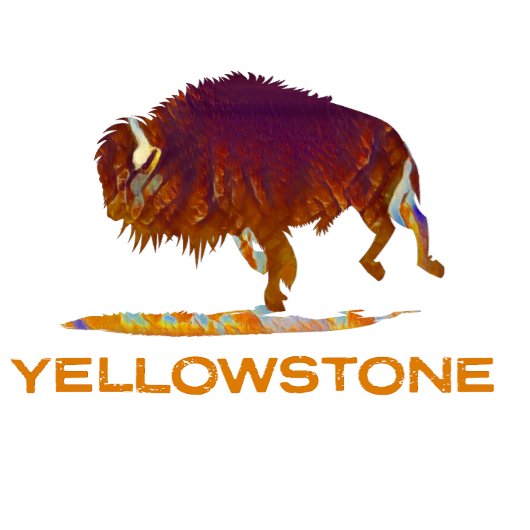 T-shirt Bison du parc national de Yellowstone