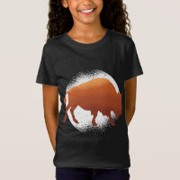 Bison Mammifère National Américain Buffalo