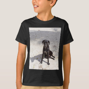 T-shirt Black dog avec evil eye