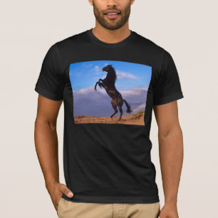 T-shirt Black Stallion