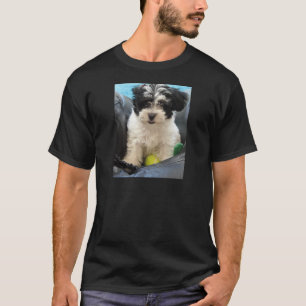 T-shirt Blanc de noir de chiot de délivrance de Havanese