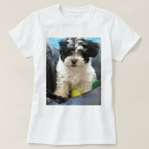 T-shirt Blanc de noir de chiot de délivrance de Havanese