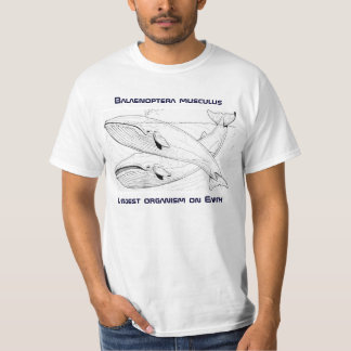 T-shirt blauwe walvis