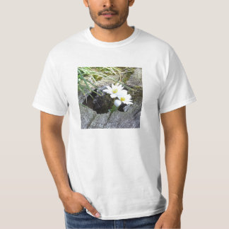 T-shirt Bloodroot, canadensis de Sanguinaria