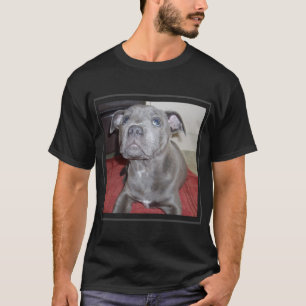 T-shirt Blue Staffordshire Bull Terrier Puppy