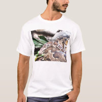 Boa constrictor