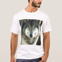 Bois de construction-Loup de JungleWalk.com