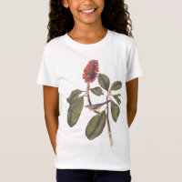 Bonaparte Flycatcher Bird