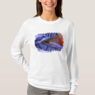 T-shirt Bond Falls; reflets de feuilles colorées à l'autom
