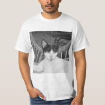 Bonjour, Meow...
