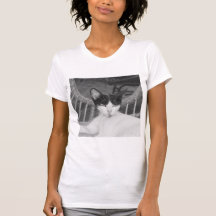 Bonjour, Meow...