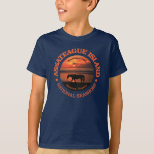T-shirt Bord de la mer de ressortissant d'île d'Assateagu